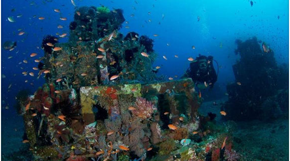 The Bali Review Amed’s Best Diving Spots  